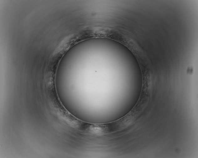 X0000112020706200908031357