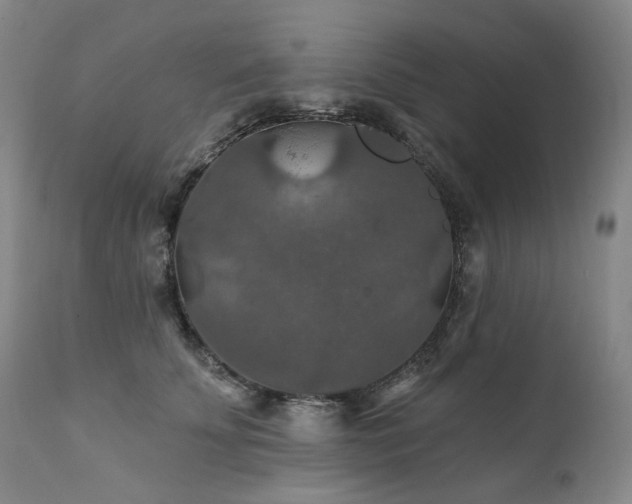 X0000112020707200908031357