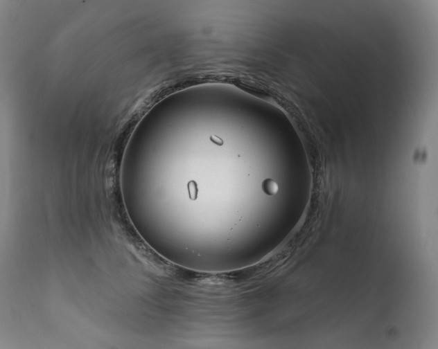 X0000112020708200908031357