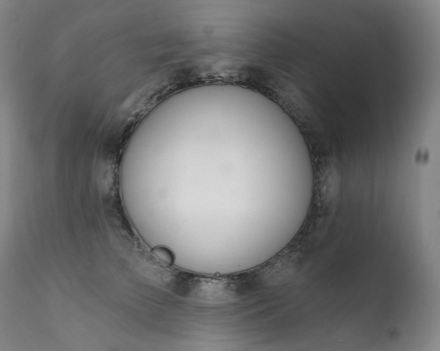 X0000112020709200908031357