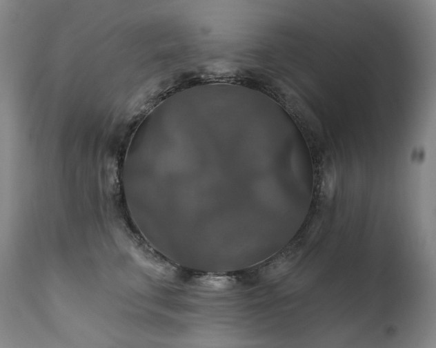 X0000112020711200908031357