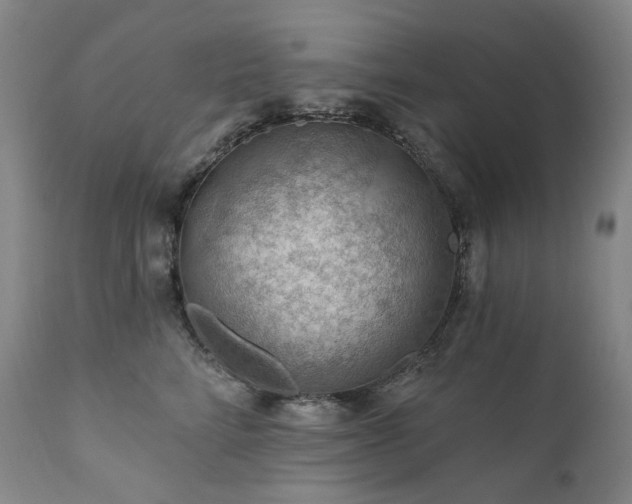 X0000112020712200908031357