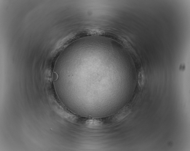 X0000112020714200908031357