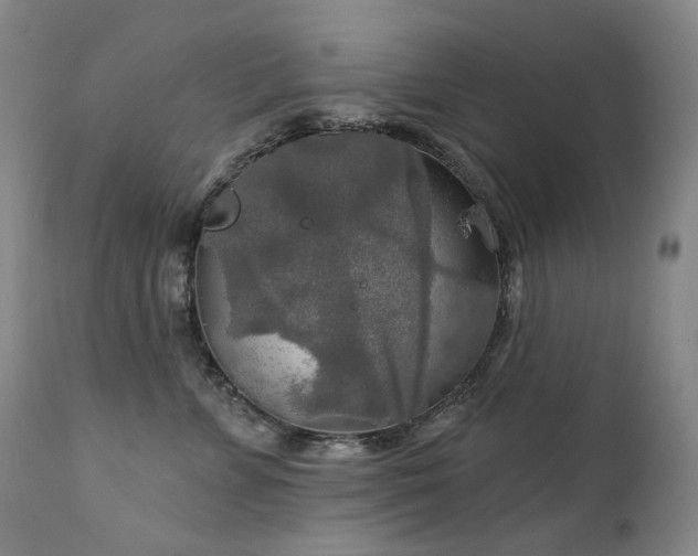 X0000112020715200908031357