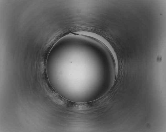 X0000112020716200908031357