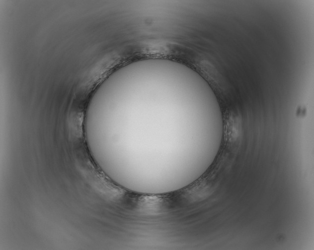 X0000112020717200908031357