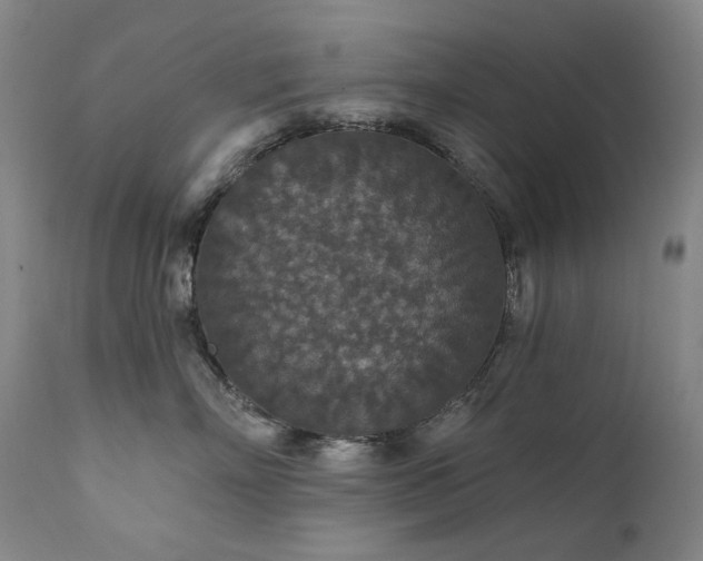 X0000112020718200908031357