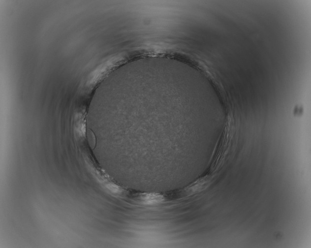 X0000112020719200908031357