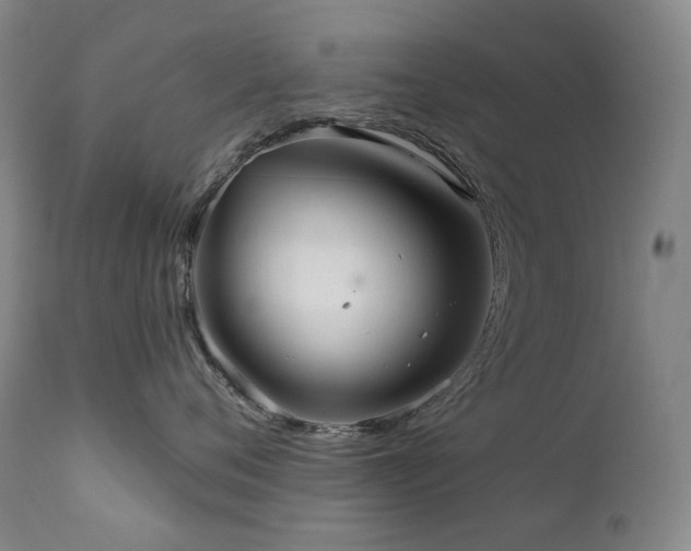 X0000112020720200908031357