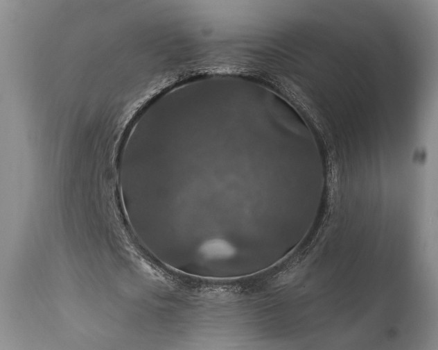 X0000112020721200908031356