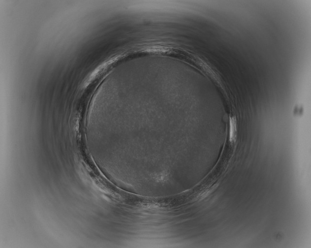 X0000112020723200908031356