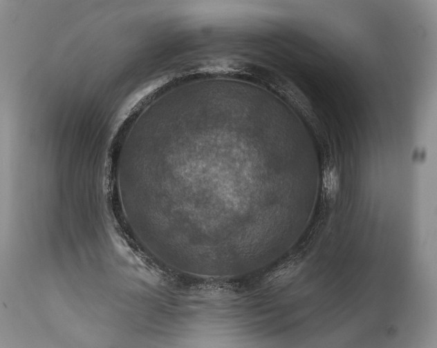 X0000112020724200908031356