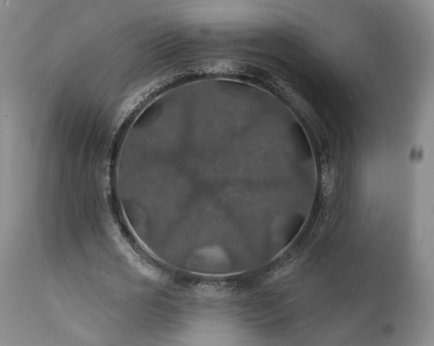 X0000112020725200908031356