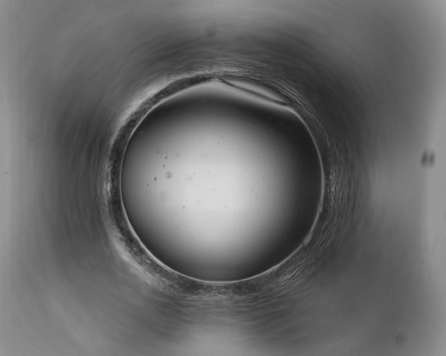 X0000112020726200908031356