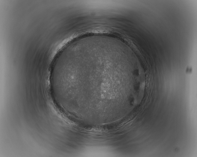 X0000112020727200908031356