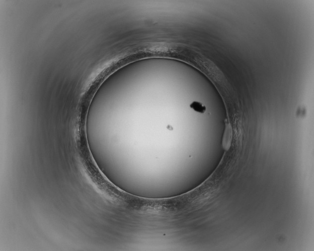 X0000112020728200908031356