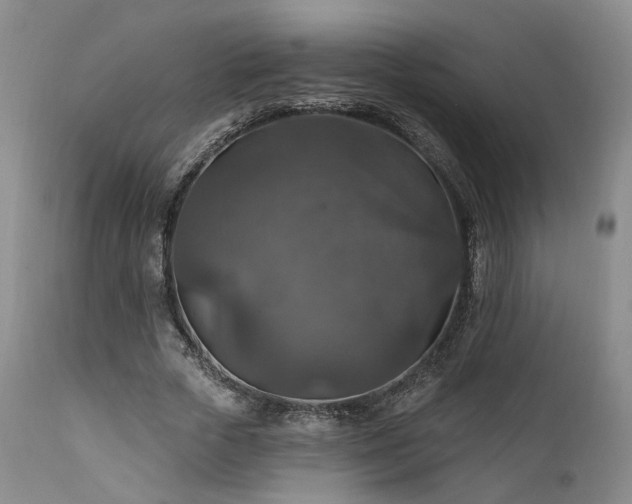 X0000112020729200908031356