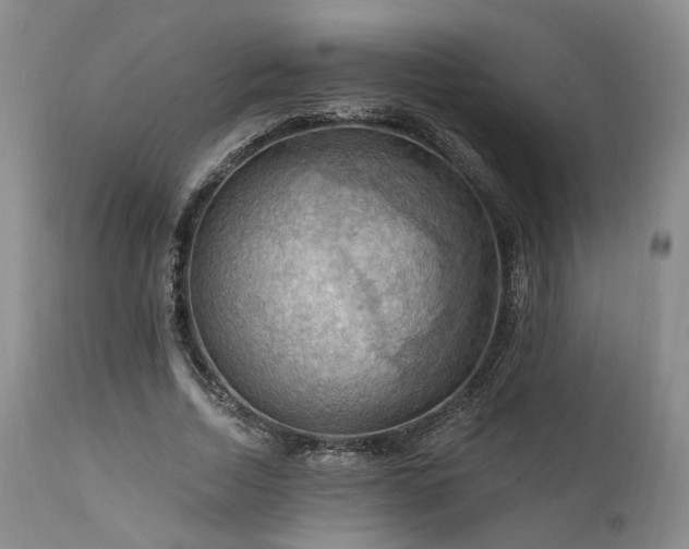 X0000112020730200908031356