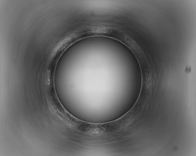 X0000112020731200908031356