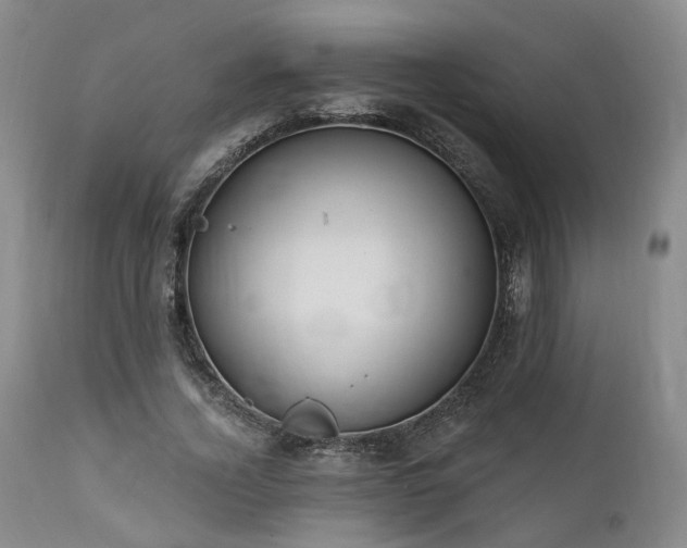 X0000112020732200908031356