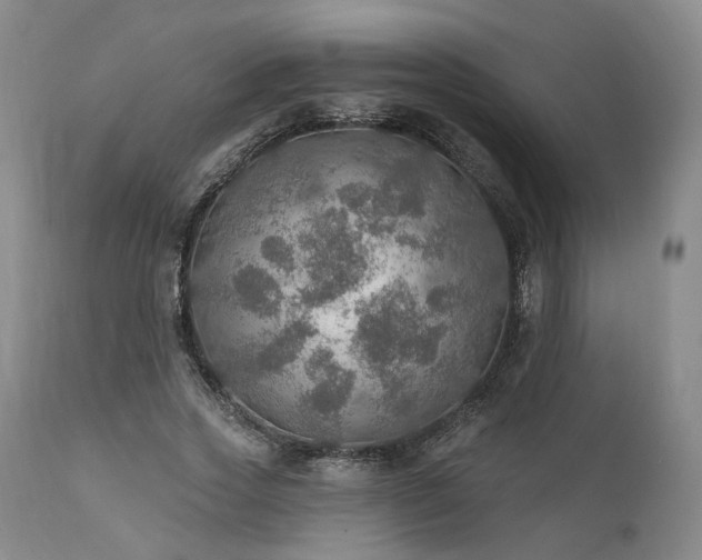 X0000112020733200908031356