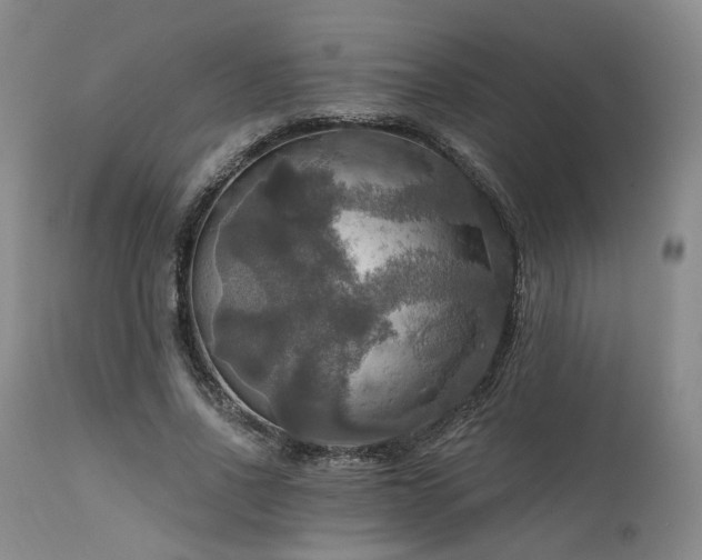 X0000112020734200908031356