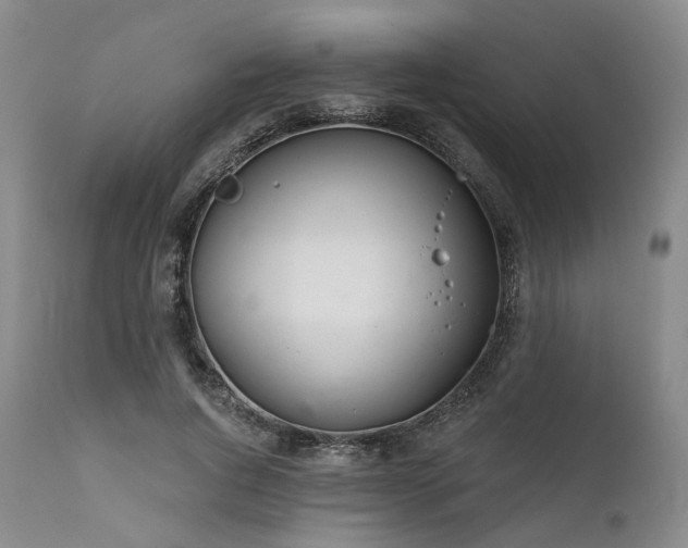 X0000112020736200908031357