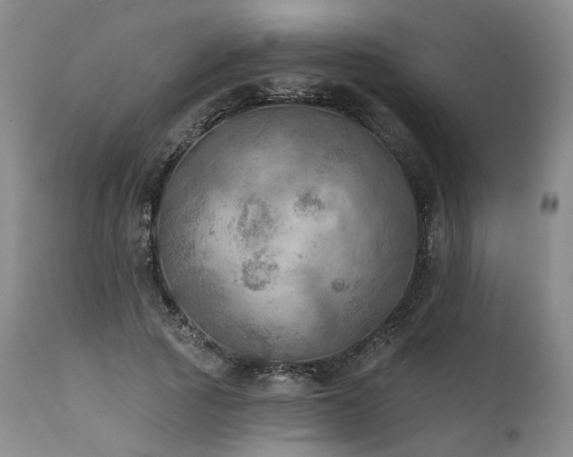 X0000112020737200908031357