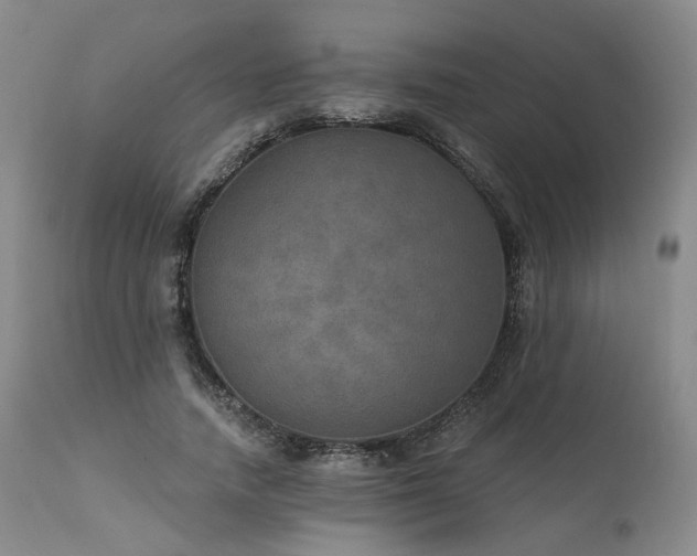 X0000112020738200908031357