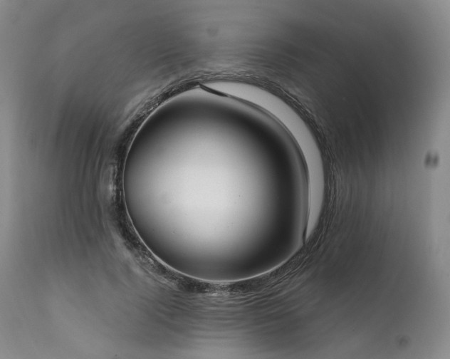 X0000112020740200908031357