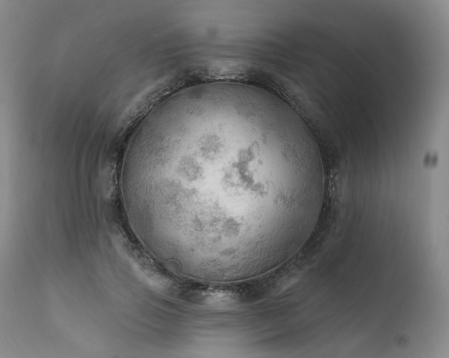 X0000112020741200908031357