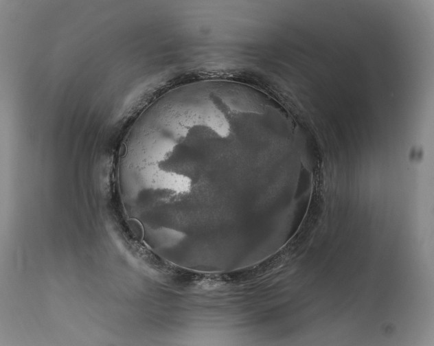 X0000112020742200908031357