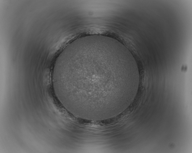 X0000112020743200908031357