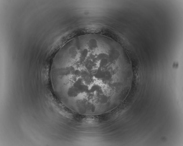 X0000112020745200908031357