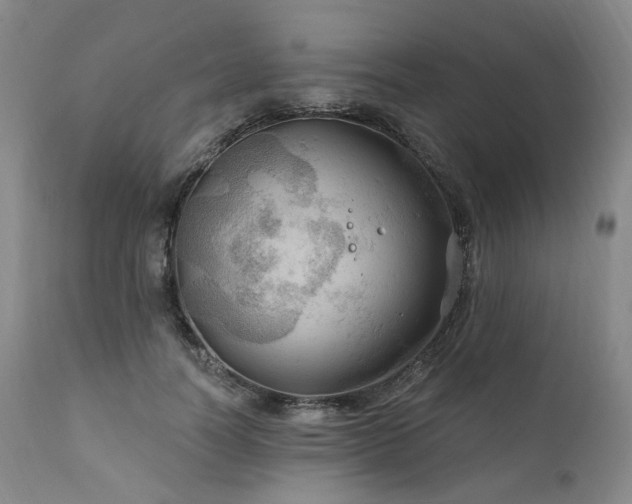 X0000112020746200908031357