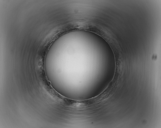 X0000112020748200908031357