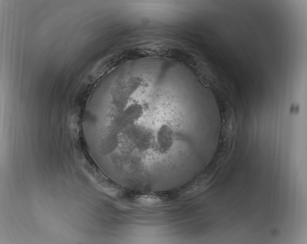 X0000112020749200908031357