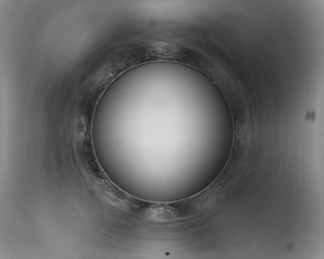 X0000112020752200908031357