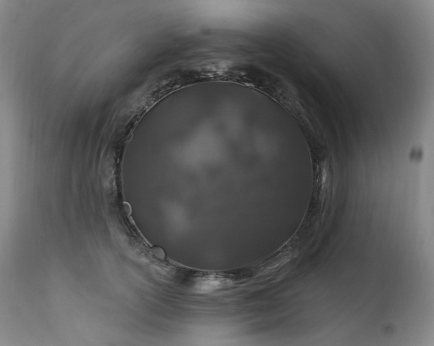 X0000112020754200908031357