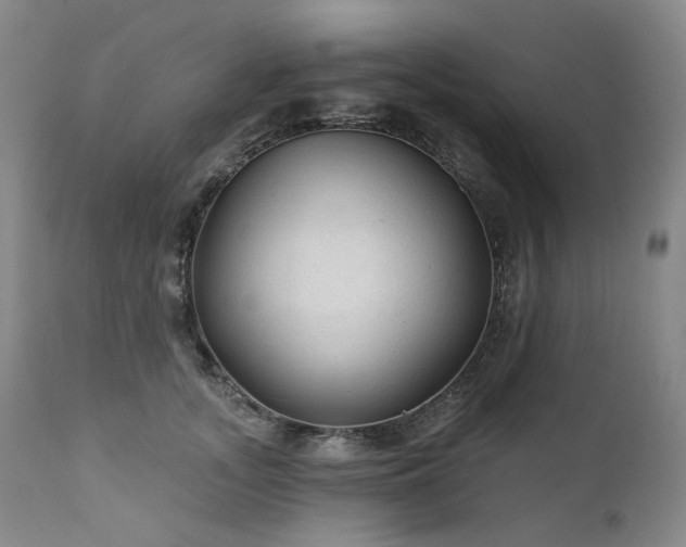 X0000112020755200908031357