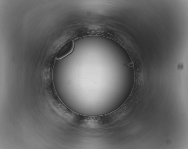 X0000112020756200908031357