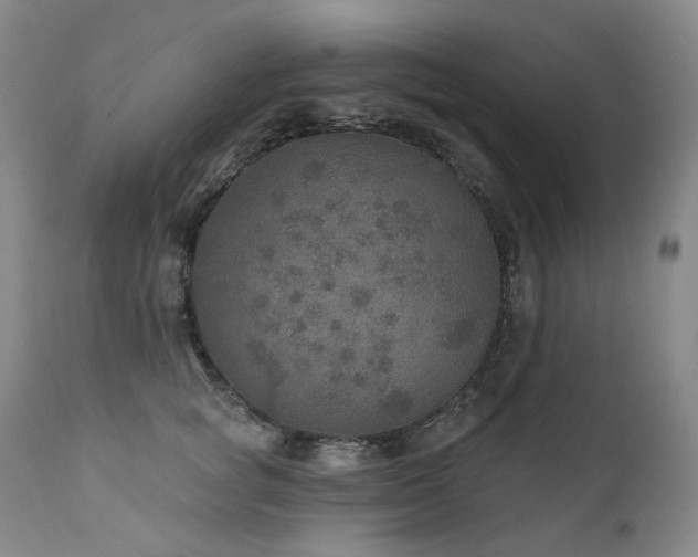 X0000112020757200908031357