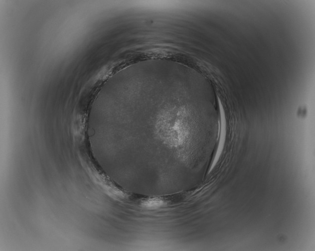 X0000112020759200908031357