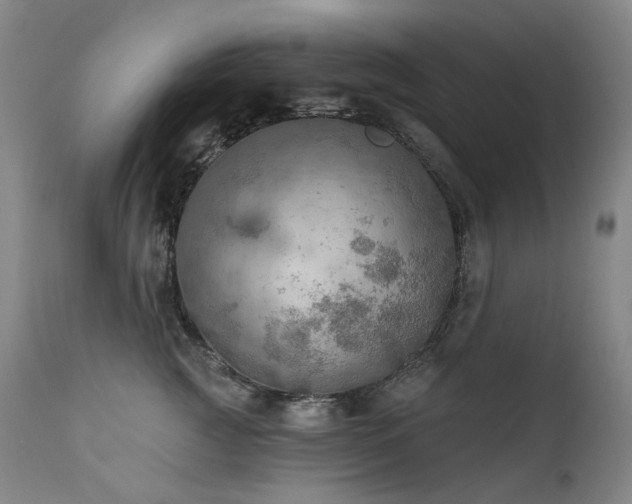 X0000112020761200908031357