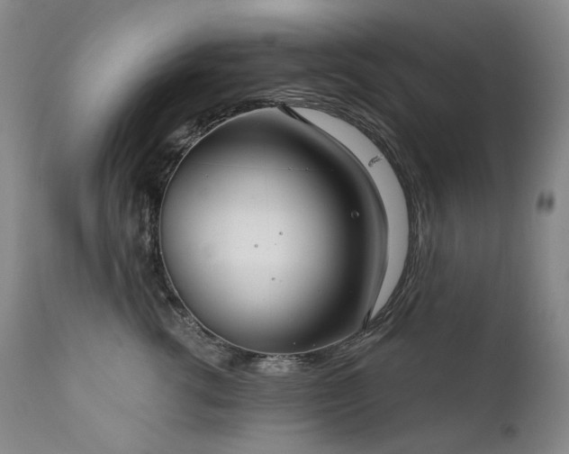 X0000112020762200908031357