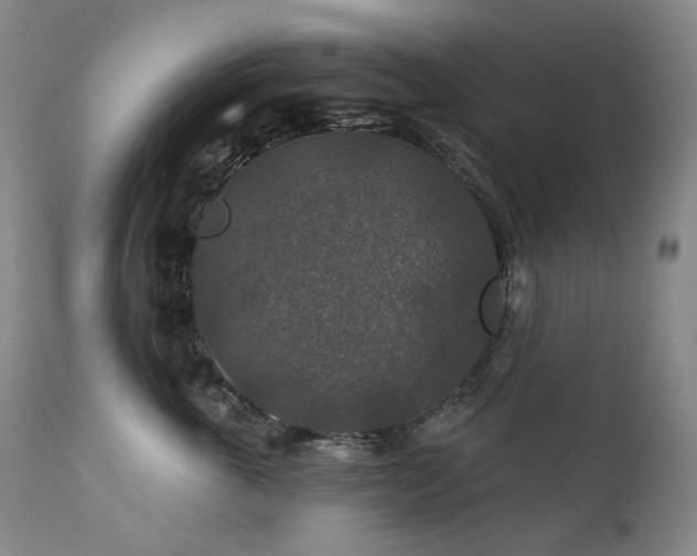 X0000112020763200908031357