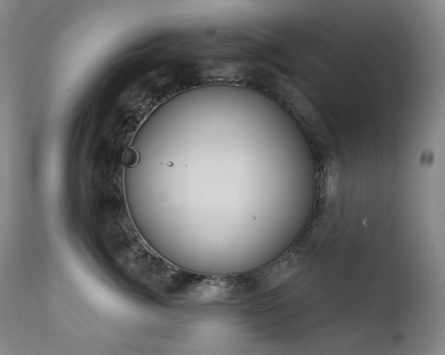 X0000112020764200908031357