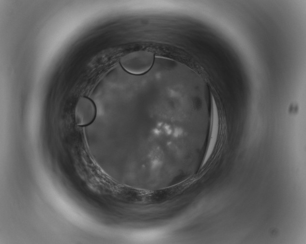 X0000112020765200908031357