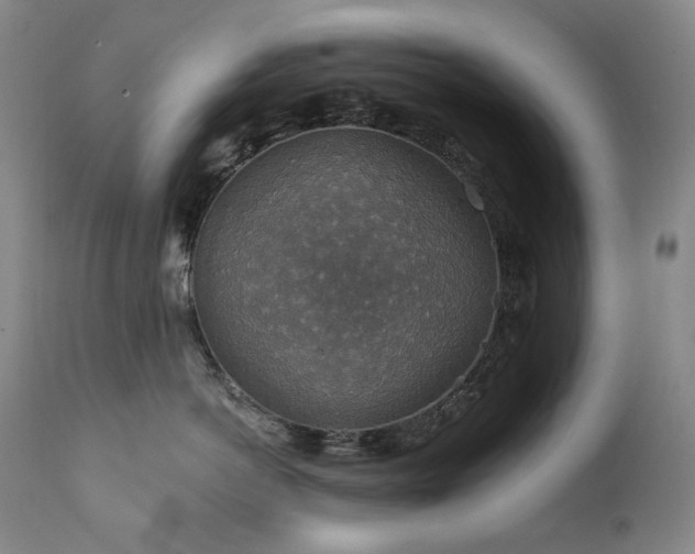 X0000112020766200908031357