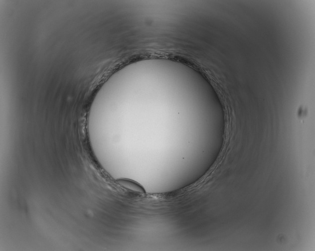 X0000112020768200908031357